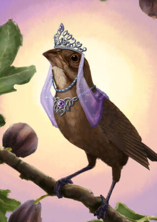 Princess Fig